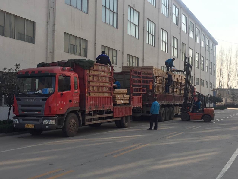 SWAG视频APP下载SWAG视频APP黄官方免费下载溫暖出發